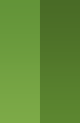 Chhuya Plast Fiber Ltd.